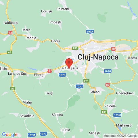 Cluj-Napoca, Cluj