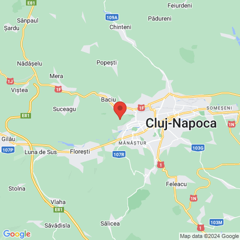 Cluj-Napoca, Cluj