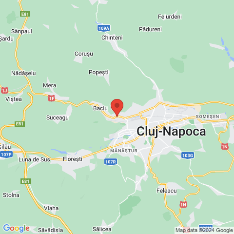 Cluj-Napoca, Cluj