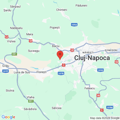 Cluj-Napoca, Cluj