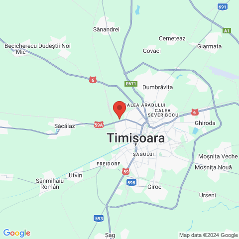 Timisoara, Timis